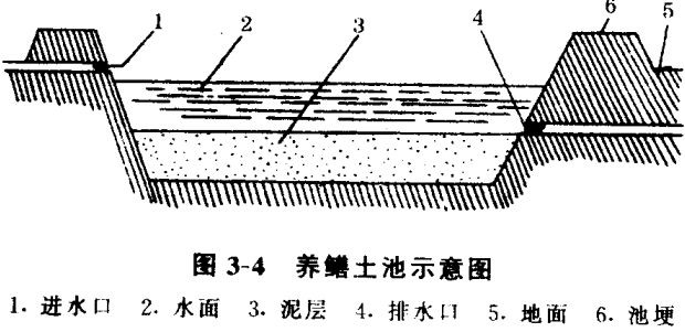 黃鱔養(yǎng)殖技術