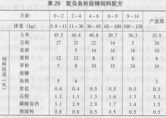 鴕鳥(niǎo)飼養(yǎng)管理技術(shù)