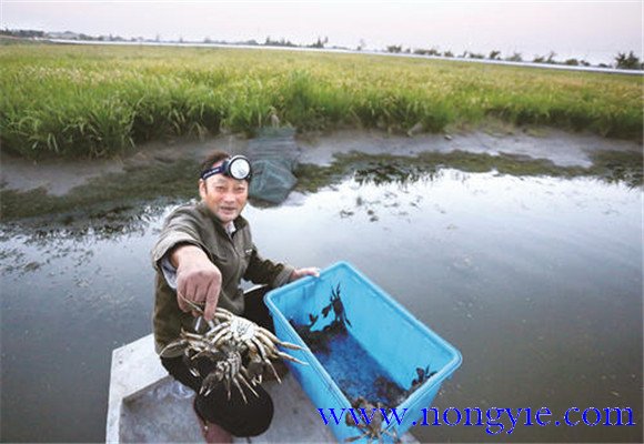 水源充足、水質(zhì)清新無污染