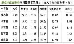 紅豆草經(jīng)濟價值及利用 紅豆草的功效與作用