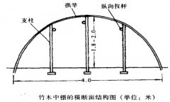 塑料中棚加外覆蓋能明顯使蔬菜早熟，效益高