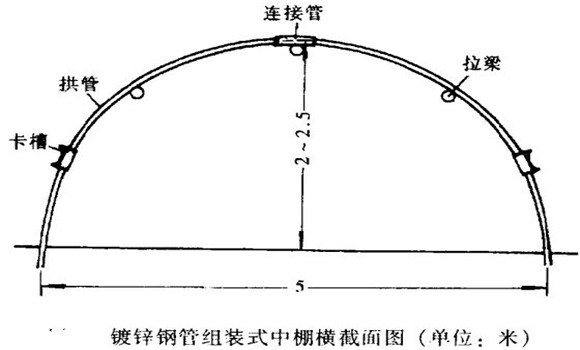 塑料中棚加外覆蓋能明顯使蔬菜早熟，效益高