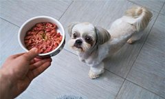 犬飼料中為何要添加鐵、銅等微量元素