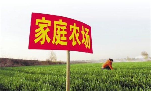 家庭農(nóng)場(chǎng)要通過實(shí)現(xiàn)專業(yè)化生產(chǎn)