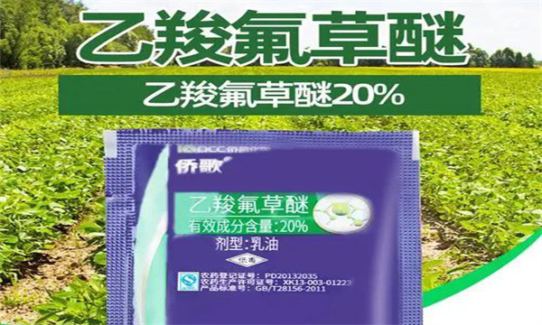 乙羧氟草醚的使用范圍