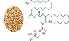 大豆異黃酮對(duì)人體有什么好處 什么食物含量多？