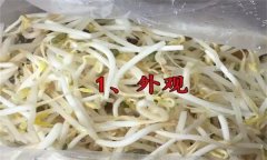 如何挑選豆芽？有根豆芽與無根豆芽有什么區(qū)別